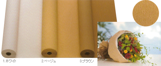 bsOy[p[02